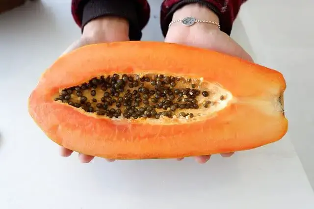 Dried papaya seeds are delicious
