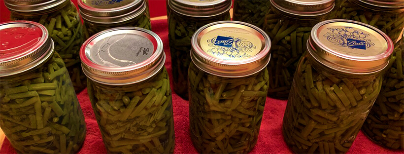 canned green beans