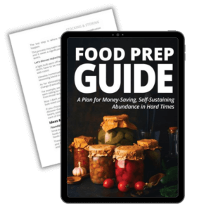 Food Prep Guide - A Plan for Money-Saving, Self-Sustaining Abundance in Hard Times
