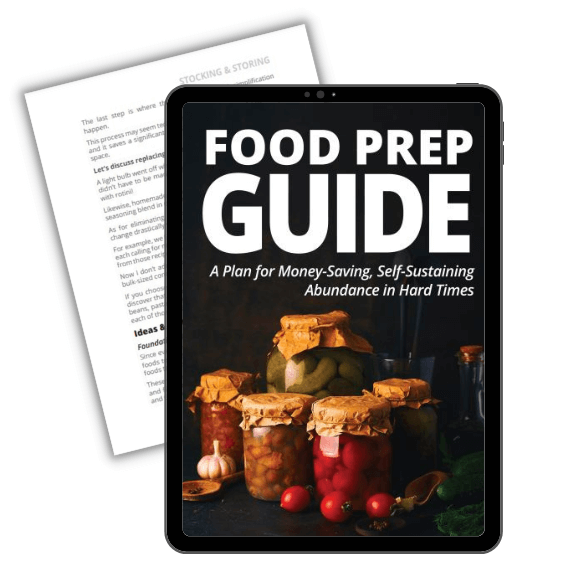 Food Prep Guide - A Plan for Money-Saving, Self-Sustaining Abundance in Hard Times