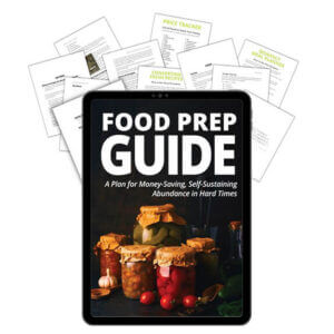 Food Prep Guide - Food Prep Guide - Preserving & Storing Food
