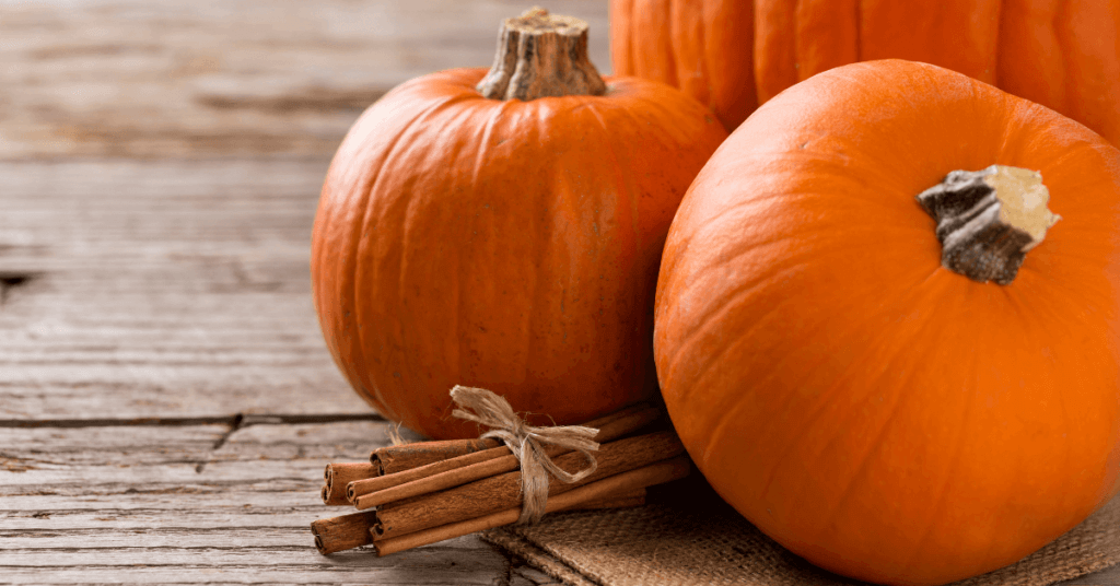 Learn how to preserve all of your uncarved pumpkins.