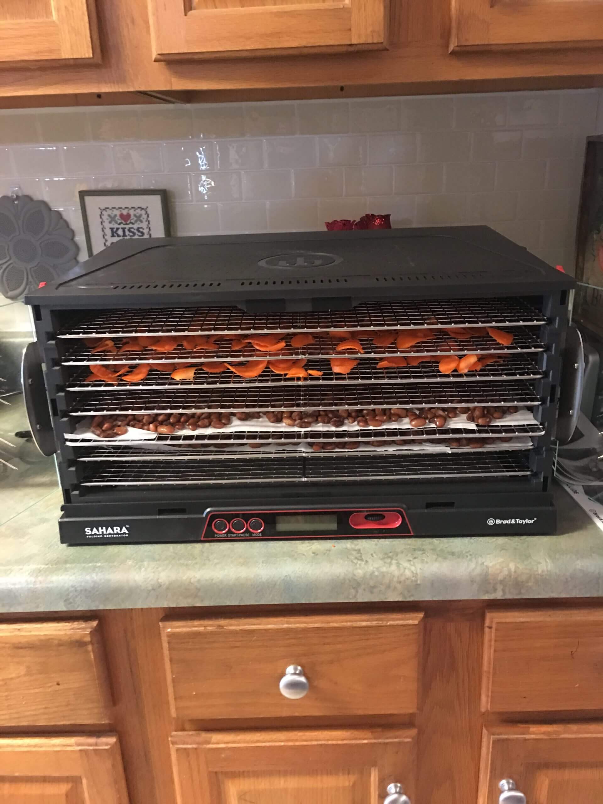 Sahara Dehydrator Vs Excalibur Which Is Best? Food Prep Guide