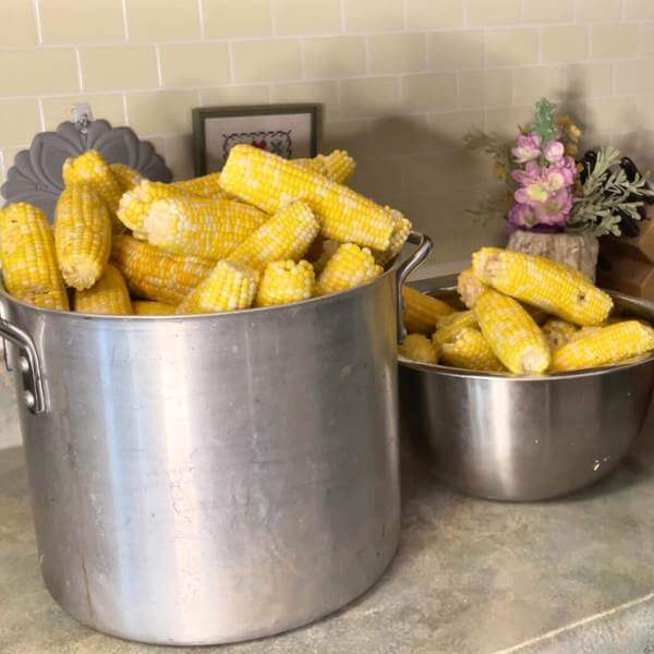 buckets of corn