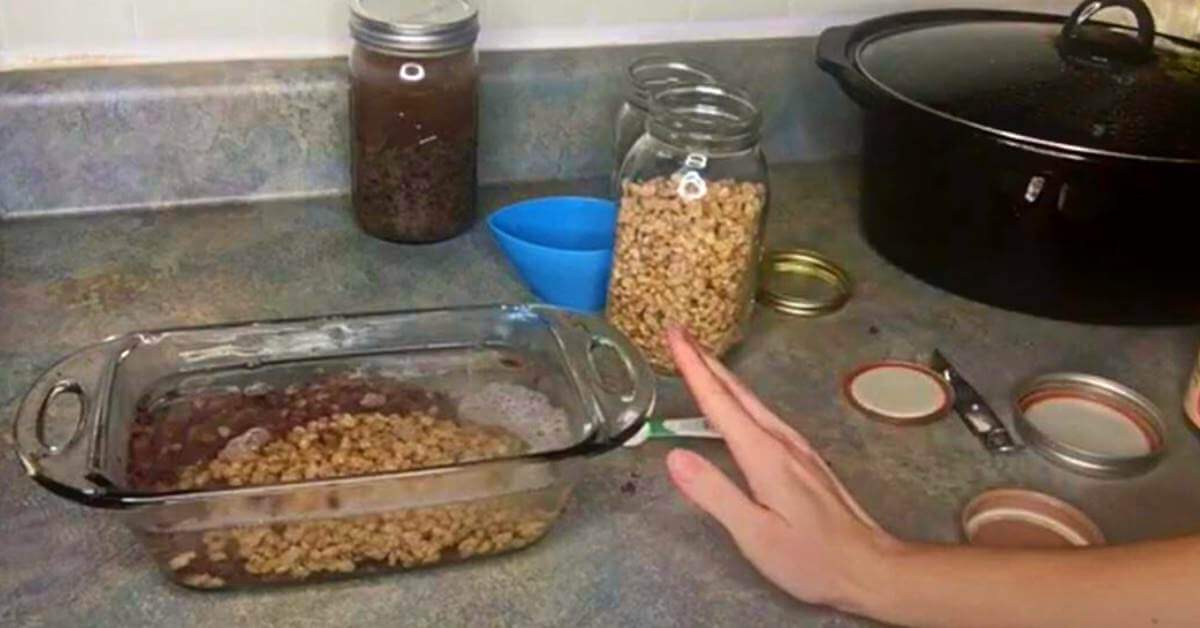 3 Ways to Rehydrate Dried Foods Food Prep Guide Preserving & Storing Food