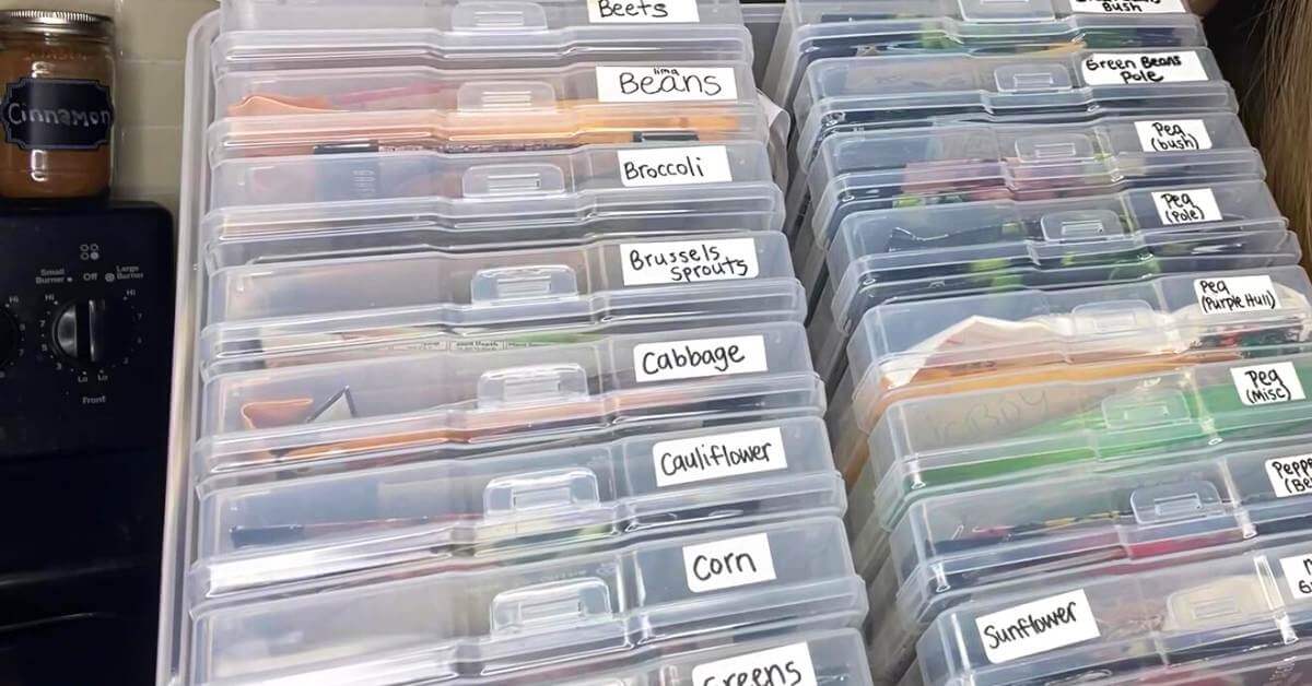 The Best Seed Storage Box & How to Use It - Food Prep Guide - Preserving &  Storing Food