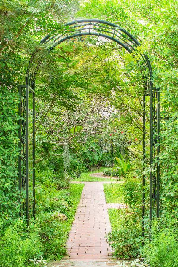 An arch trellis at the entrance of a backyard garden