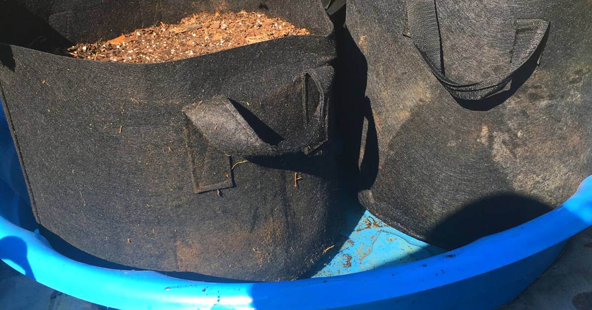 15 Kiddie Pool Garden Ideas Food Prep Guide Preserving & Storing Food