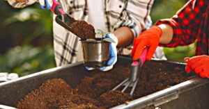 Potting soil can go bad. Here are the signs to look for.