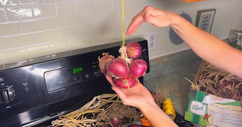 Learn how to string onions