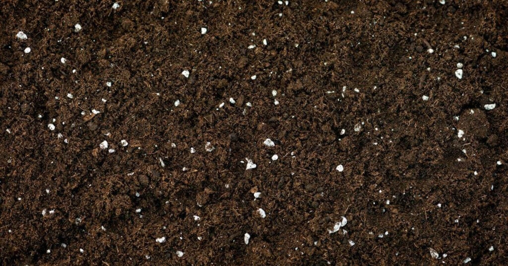 Little white balls in soil is often perlite.