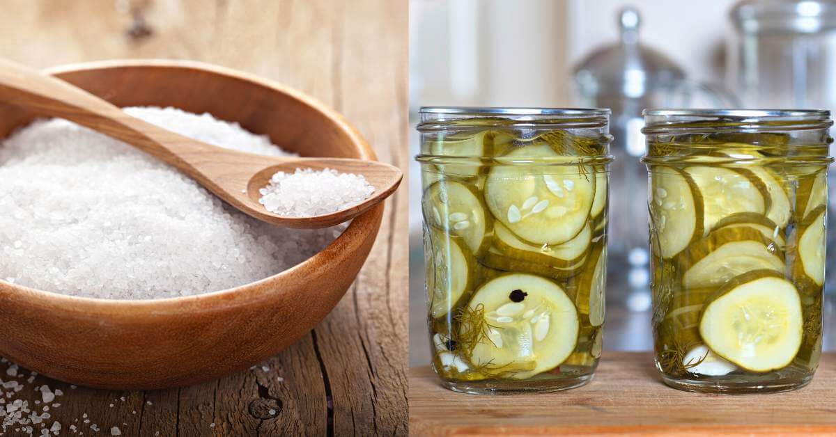 Canning salt doesn't spoil, but it still needs to be stored properly.