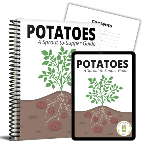 sts-potatoes-print-and-digital-574