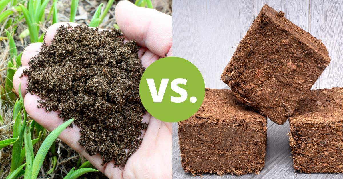 Soil and coco coir have very different applications in the garden.