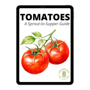 STS Tomatoes