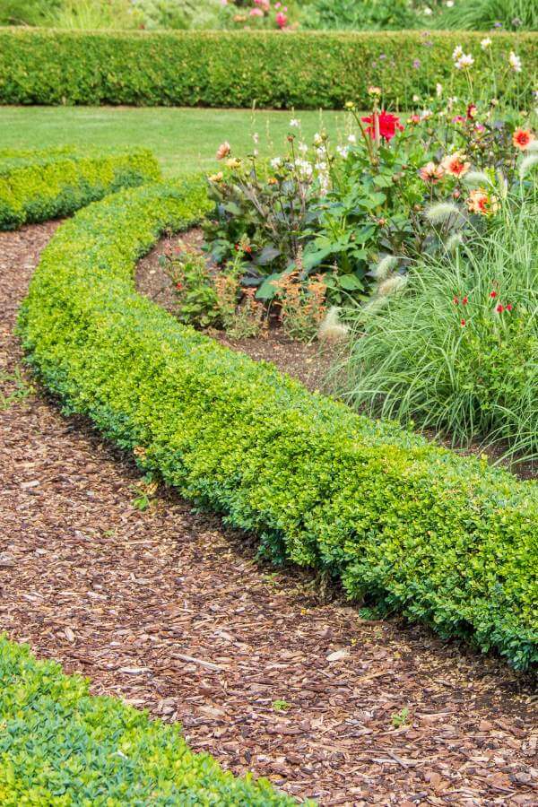 Rubber Mulch Paths
