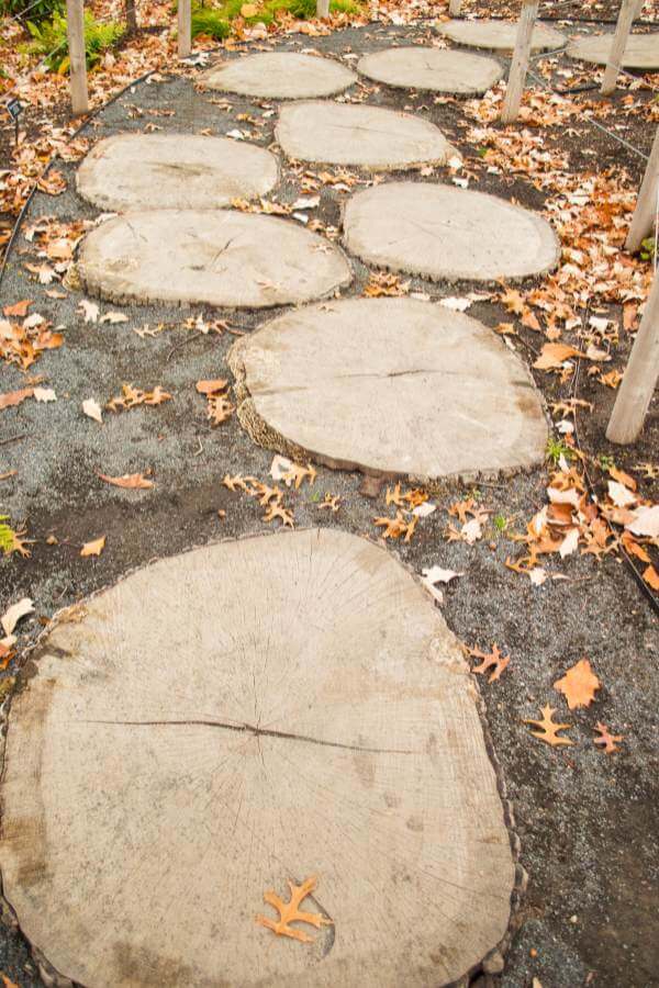 Sliced Log Path