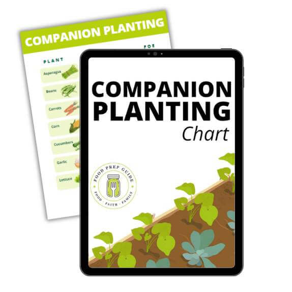 Companion Planting Chart