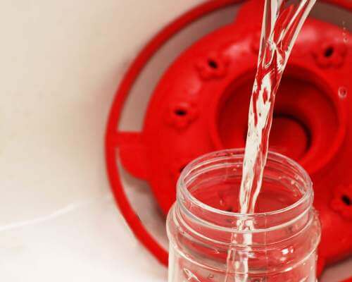 filling a hummingbird feeder