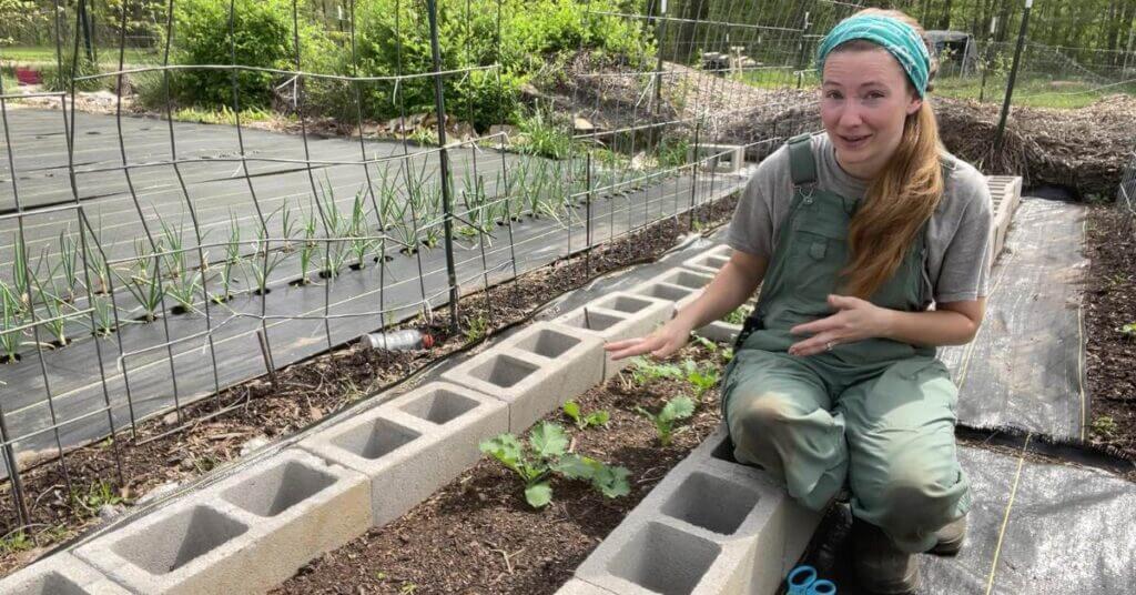 my cinder block raised beds