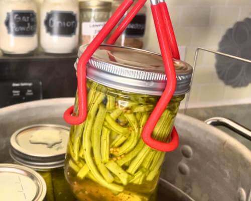 canned dilly beans