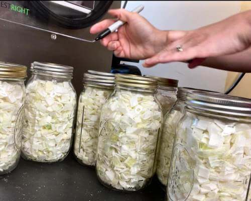 freeze dried onions