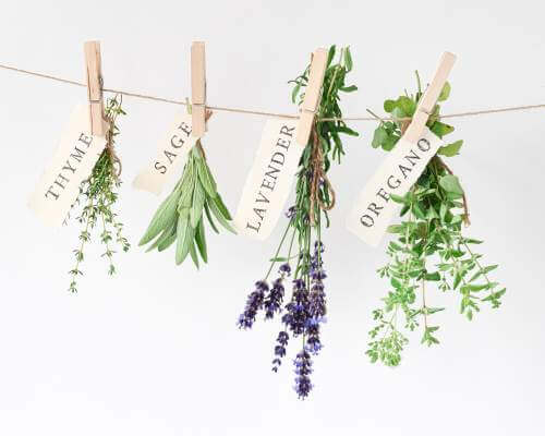 hanging herbs to dry