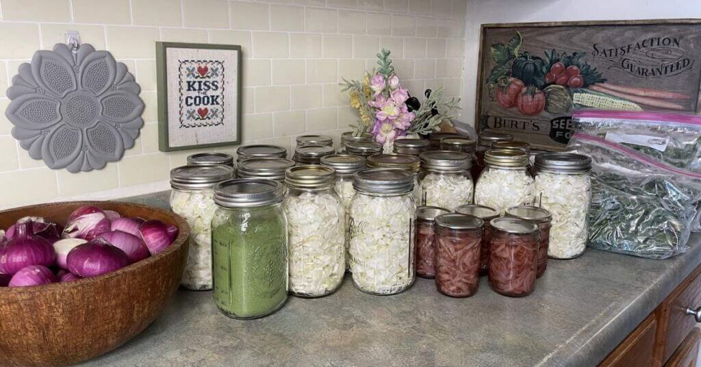 harvest and preserve onions