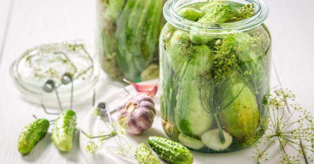 refrigerator pickles