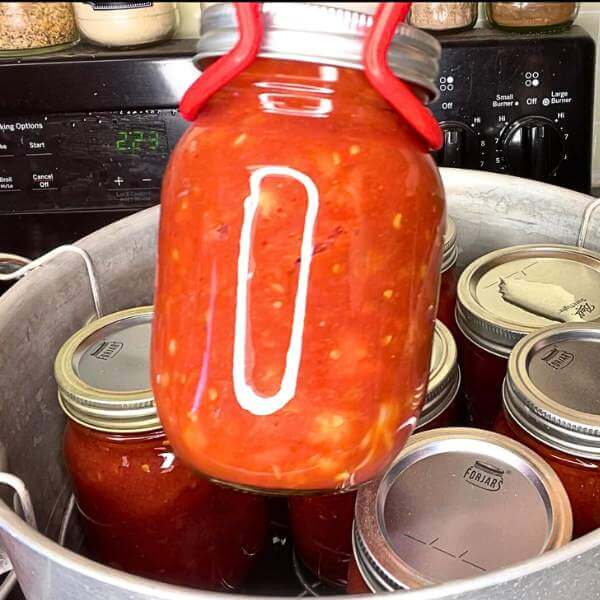 best-mild-salsa-recipe