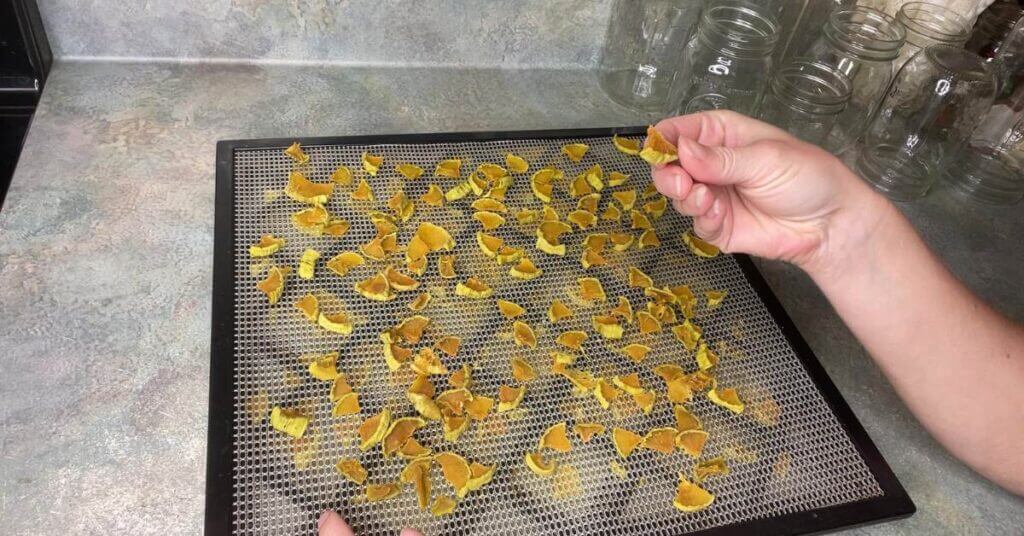 dehydrated-mock-fruit-zucchini