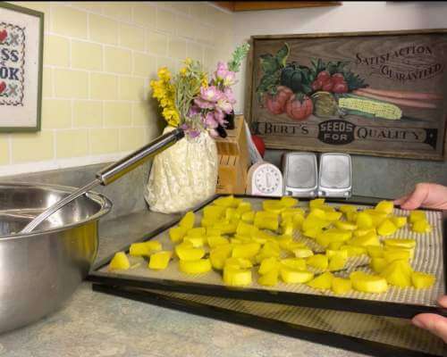 dehydrating zucchini
