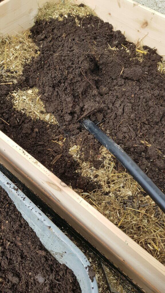 adding manure to a raised bed