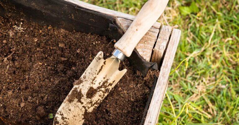 The Best Soil Combinations for Your Raised Garden Bed - Food Prep Guide ...