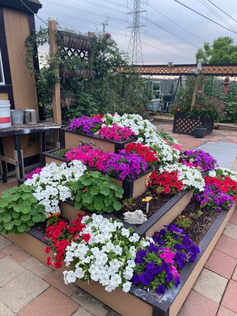 a flower garden on a patio