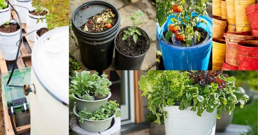 5-gallon-bucket-garden-ideas