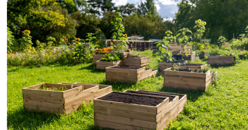 tiered raised bed layout