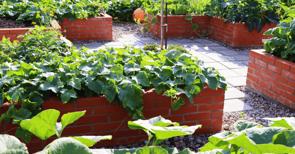 brick style raised beds