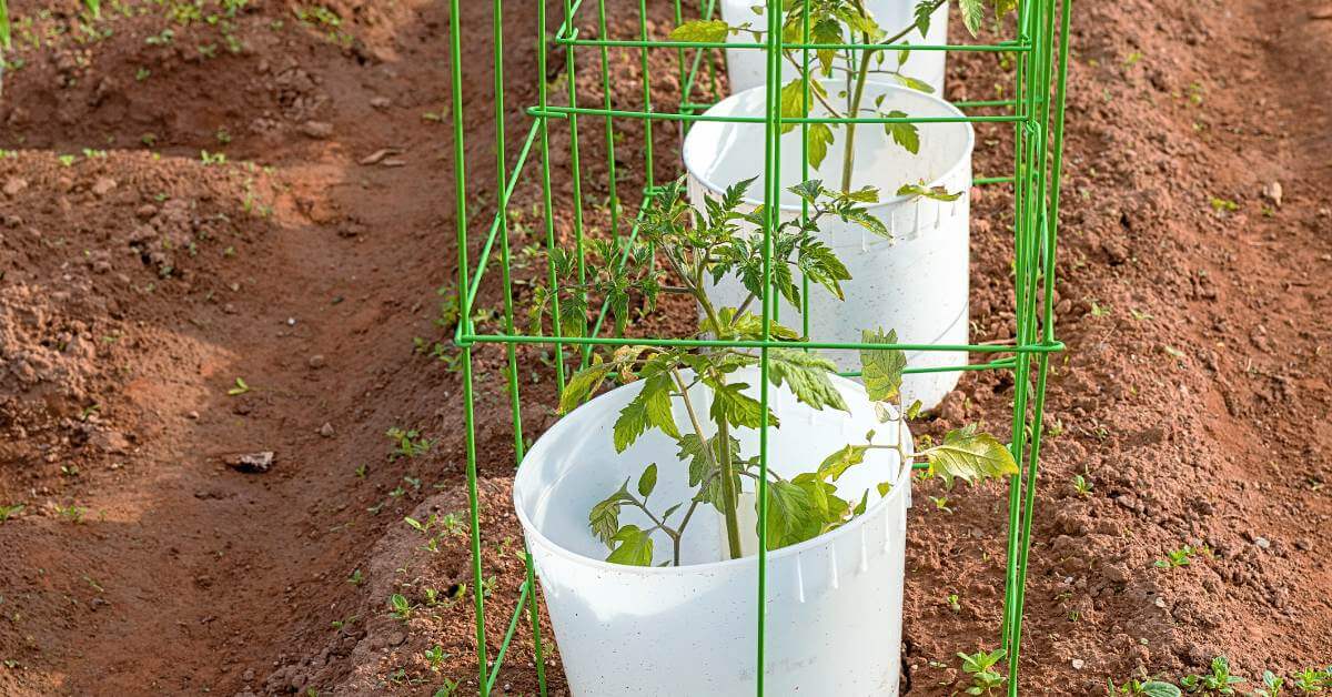 How To Grow Food In Buckets - Food Prep Guide - Preserving & Storing Food