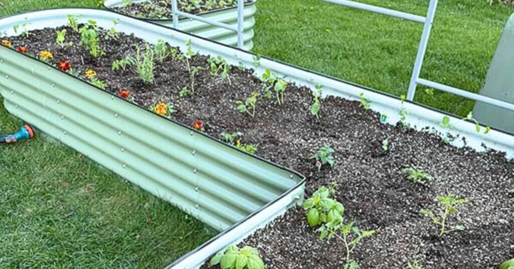 vego-raised-beds-for-urban-gardening