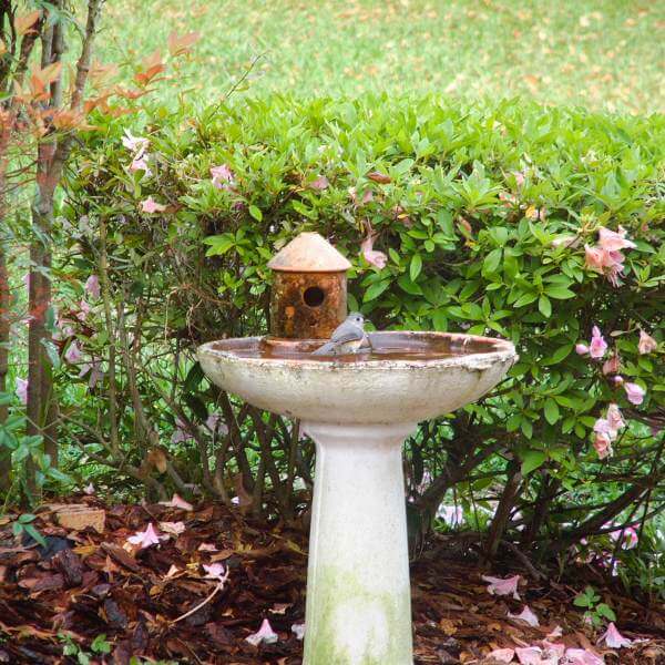 water feature bird feeder