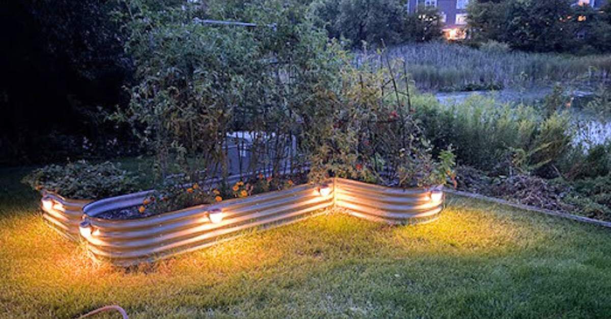 Vego-garden-raised-beds-with-solar-lights