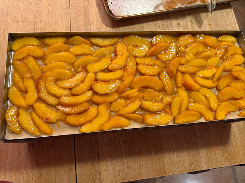 Peaches in a freeze dryer tray