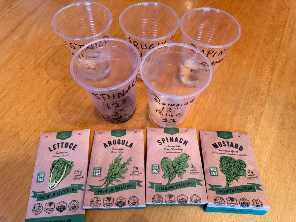 pre-sprouting seeds in water