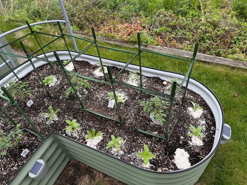DE-on-plants