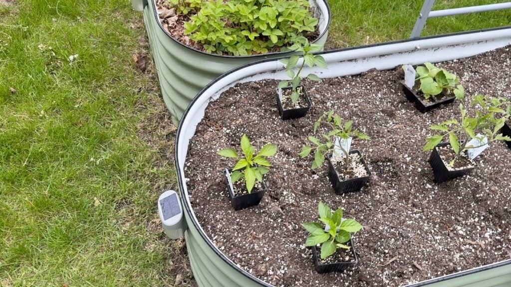 vego-garden-raised-beds-2026
