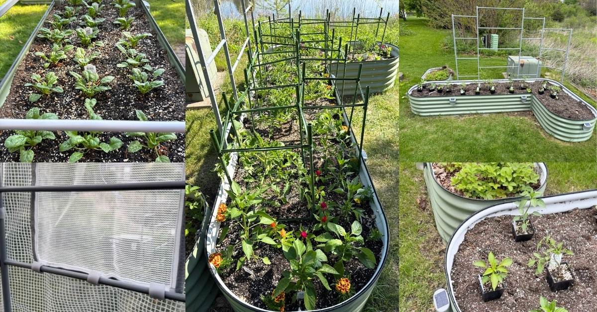vego-garden-update-spring-2026