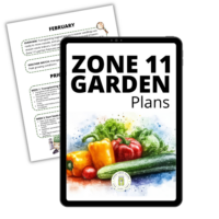 zone-11-garden-plan-574