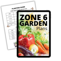 zone-6-garden-plan-574