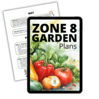 zone-8-garden-plan-574